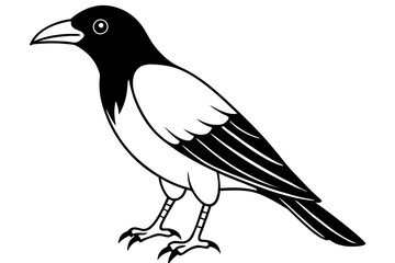 crow line art silhouette vector illustration