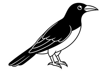 Obraz premium crow line art silhouette vector illustration