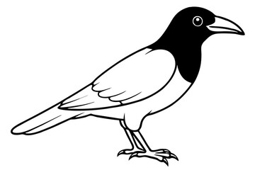 crow line art silhouette vector illustration