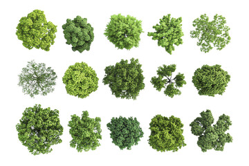 Collection of 3D Top view Green Trees isolated on transparent or white background, png