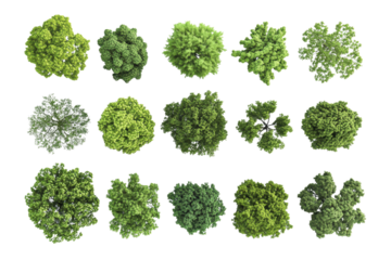 Collection of 3D Top view Green Trees isolated on transparent or white background, png