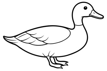 duck line art silhouette vector illustration