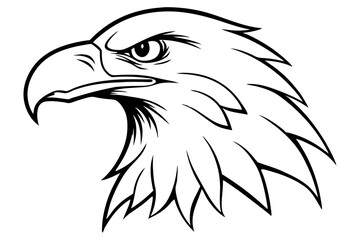 eagle head line art silhouette vector illustration