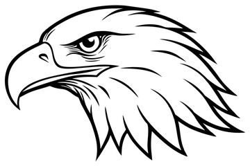 eagle head line art silhouette vector illustration