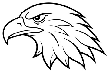eagle head line art silhouette vector illustration