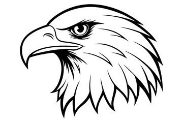 eagle head line art silhouette vector illustration