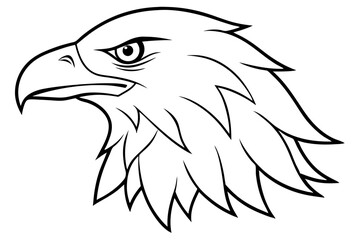 eagle head line art silhouette vector illustration