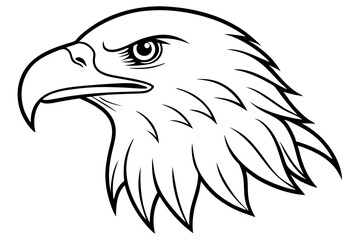 eagle head line art silhouette vector illustration
