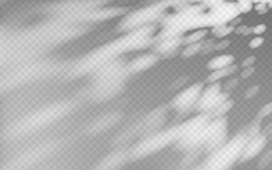 Abstract shadow overlay from foliage on a transparent background.