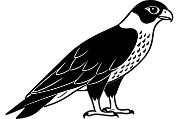 falcon line art silhouette vector illustration
