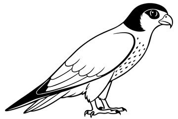 falcon line art silhouette vector illustration