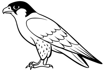 falcon line art silhouette vector illustration