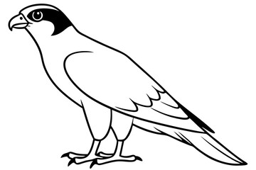 falcon line art silhouette vector illustration