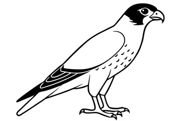 falcon line art silhouette vector illustration