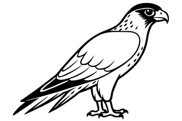 falcon line art silhouette vector illustration