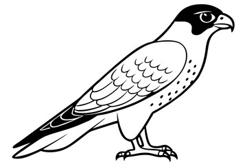 falcon line art silhouette vector illustration