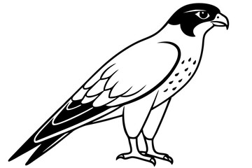 falcon line art silhouette vector illustration