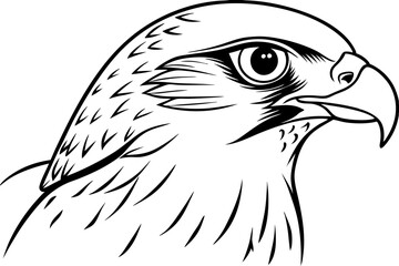 falcon head line art silhouette vector illustration