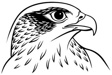 falcon head line art silhouette vector illustration