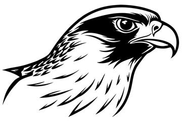 falcon head line art silhouette vector illustration