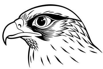 falcon head line art silhouette vector illustration