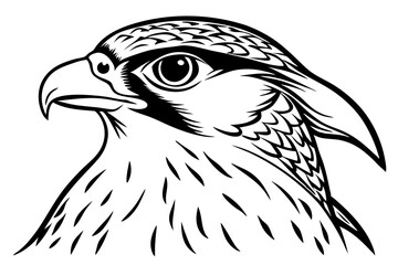 falcon head line art silhouette vector illustration