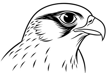 falcon head line art silhouette vector illustration