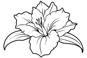 gladiolus flower line art silhouette vector illustration