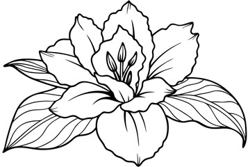 gladiolus flower line art silhouette vector illustration