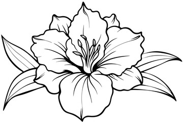 gladiolus flower line art silhouette vector illustration
