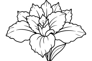 gladiolus flower line art silhouette vector illustration