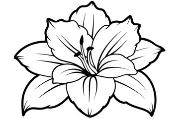 gladiolus flower line art silhouette vector illustration