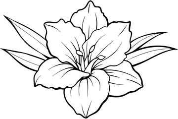 gladiolus flower line art silhouette vector illustration
