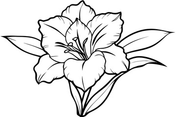 gladiolus flower line art silhouette vector illustration