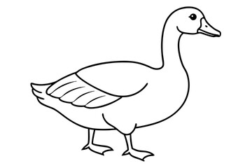 goose isolated on white background