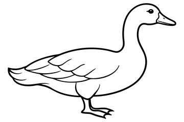 goose line art silhouette vector illustration