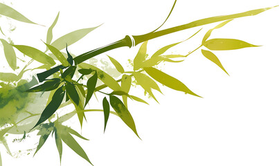Fototapeta premium .Illustration of trees, leaves, grass and various botanical elements on a white background.