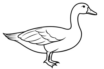 goose line art silhouette vector illustration