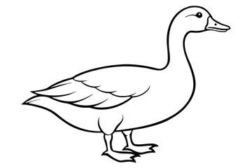 goose line art silhouette vector illustration