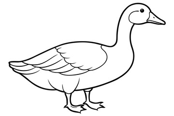 goose line art silhouette vector illustration