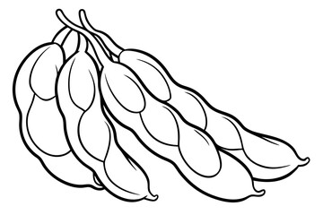 green beans line art silhouette vector illustration
