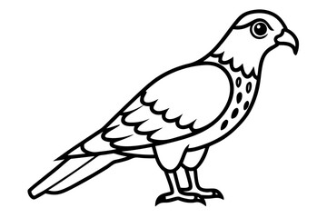 harrier line art silhouette vector illustration
