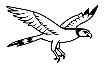 harrier line art silhouette vector illustration