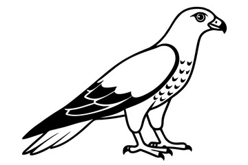 harrier line art silhouette vector illustration