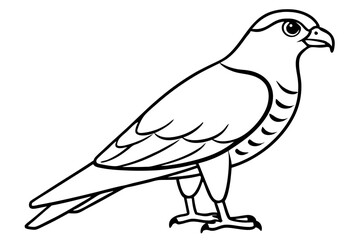 harrier line art silhouette vector illustration