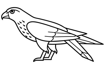harrier line art silhouette vector illustration