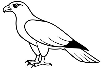 harrier line art silhouette vector illustration