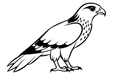 harrier line art silhouette vector illustration