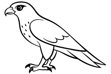Fototapeta premium hawk line art silhouette vector illustration