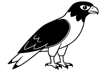 hawk line art silhouette vector illustration